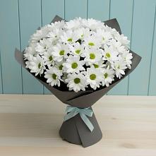 Букет цветов из:  Хризантемы в Игарке