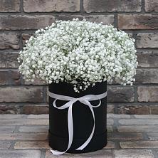 Цветочная композиция из Гипсофила в шляпной коробке в Игарке